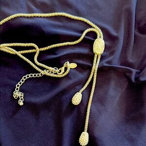 Chico's Crystal Pavé Lariat Necklace Silver Slider Teardrop Ends Glam